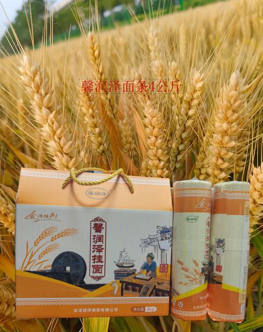 云南曲靖会泽馨润泽面条，4kg/盒 商品图0