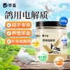 华畜鸽用电解质鸟用多维葡萄糖鹦鹉鸽子营养补钙新鸟用品画眉 商品缩略图0