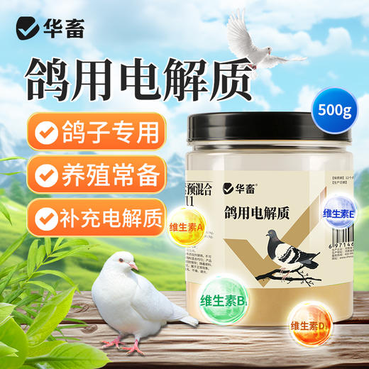 华畜鸽用电解质鸟用多维葡萄糖鹦鹉鸽子营养补钙新鸟用品画眉 商品图0