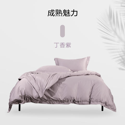 华纺100支纯棉抗菌四件套【山东必买好品】 商品图0