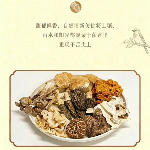 念味思七彩山珍菌菇礼盒 商品图2