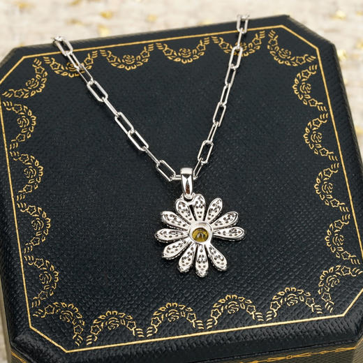 彩宝系列-雏菊满钻项链（XTY） 商品图4