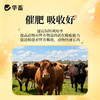 华畜酵母蛋白肽20kg提高饲料转化率 商品缩略图1