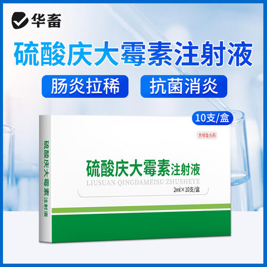 华畜硫酸庆大霉素注射液10支 败血症呼吸道感染 用于革兰氏阴性和阳性细菌感染 商品图1
