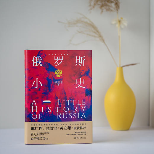 俄罗斯小史 张建华 著 北京大学出版社 小历史·大世界 商品图2
