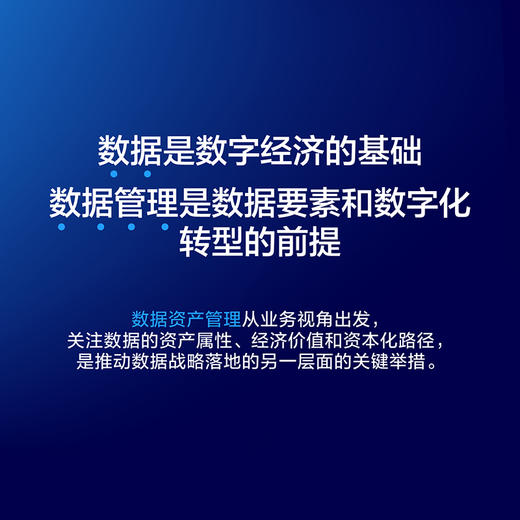 数据资产管理知识体系指南 国际数据管理协会大中华区编著 确权估值入表交易融合国际理论中国实践政策实操案例 产业经管书籍 商品图1