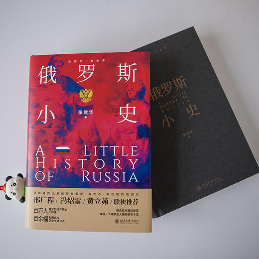 俄罗斯小史 张建华 著 北京大学出版社 小历史·大世界 商品图3
