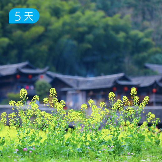 恩施徒步节｜三月醒春·35公里轻装徒步 OSPREY赞助799元日光背包 5日 商品图0