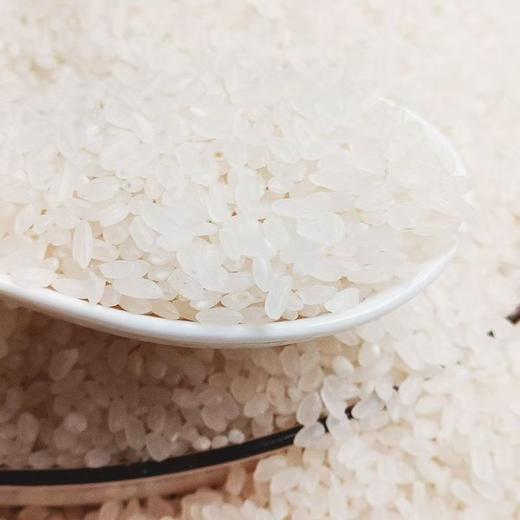 云南曲靖会泽馨润泽小香米，4.5kg/袋 商品图3