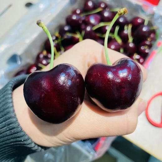 拉宾斯4JD车厘子，智利进口，超大个头
一口咬下去，瞬间感到爆汁 商品图1