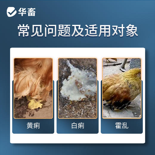 华畜5%硫酸庆大霉素可溶性粉 治疗肠炎拉稀 抗菌消炎 商品图1