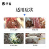华畜兽药硫酸安普霉素可溶性粉兽用正品猪鸡拉稀抗菌消炎大肠杆菌 商品缩略图1