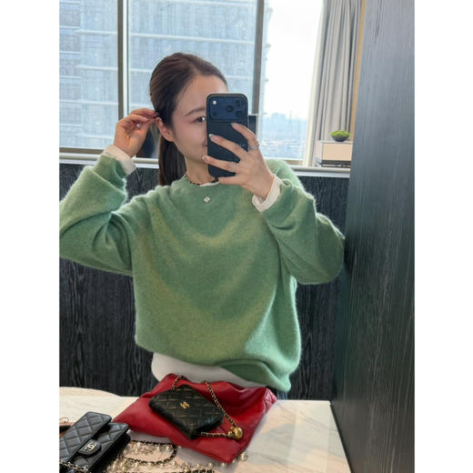 2601403    金丝 羊毛拉毛 针织衫 商品图8