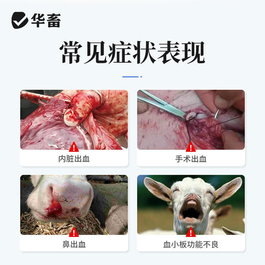 华畜兽药酚磺乙胺注射液止血敏马牛羊猪外科手术后出血止血内出血 商品图1