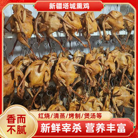 额雁·新疆塔城果木熏鸡0.8-1.2kg /只 产地直发 香而不腻