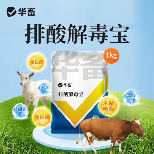 华畜 排酸解毒宝1kg 牛羊瘤胃 胀气  过料严重 采食量下降 拉稀腹泻 商品图0
