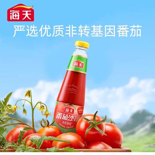 海天番茄沙司 510g/瓶 商品图2