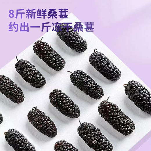 鲜记冻干桑葚80g 商品图5