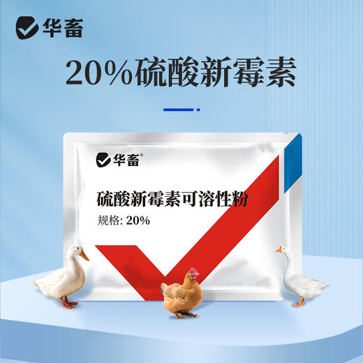华畜20%硫酸新霉素可溶性粉100g 主治肠炎痢疾禽畜通用 商品图0