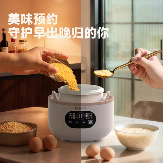 天际（TONZE）电炖锅 电炖盅 燕窝隔水炖锅 婴儿bb煲母婴辅食熬粥 煲汤锅炖汤锅小粉炖 0.8L 小粉炖GSD-8BG 商品图3