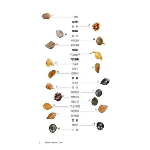 中药材种子原色图谱 东北卷 全国中药材种子原色图谱系列丛书 纪瑞锋 周良云 杨光 主编 9787521457360 中国医药科技出版社 商品图3