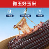微玉 花青玉礼盒 黑糯玉米 含花青素真空装7A鲜做 非转基因 1.6kg 商品缩略图2