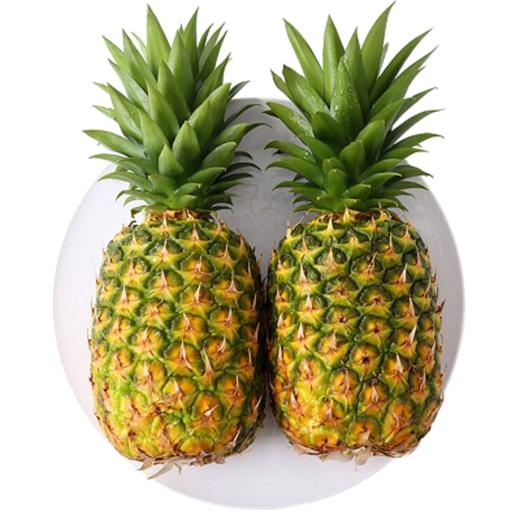 海南金钻凤梨 商品图2