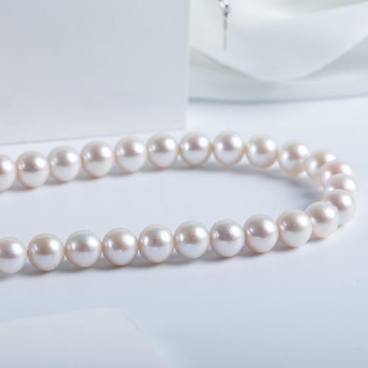 白色淡水珍珠项链 XL569 商品图3