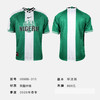 小李子NIKE耐克尼日利亚队1996年复刻版球迷版短袖球衣II6988-310 商品缩略图4