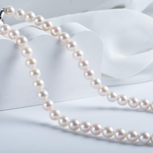 白色淡水珍珠项链 XL569 商品图1