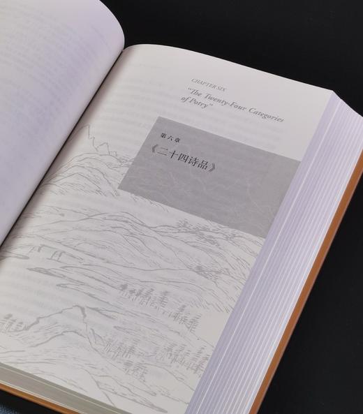 【特惠】《中国文学思想读本：原典.英译.解说》，16开，精装，[美]宇文所安著，三联书店2019年一版一印，840面，定价128，售价：45元。 商品图9