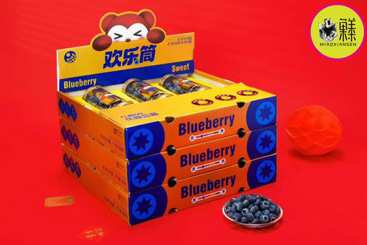 Mg基地～喵眼蓝莓云南花香蓝莓欢乐桶（大果18mm+）×6桶 商品图1