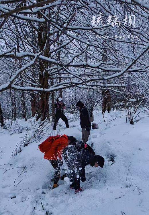 2天1夜，随《人民日报》一起体验雪山下的中国年！到崇州琉璃坝格兰坪过周末~徒步、玩雪、刨猪宴、劈柴生火、篝火仪式……这是通往山野的任意门！无需行李，自驾直达 商品图10