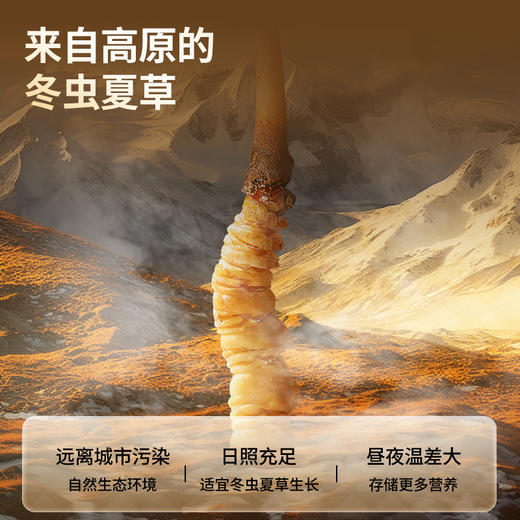【正宗同仁堂品牌】北京同仁堂  青源堂   冻干冬虫夏草-40/5克/20根  高营养高品质 SY 商品图1