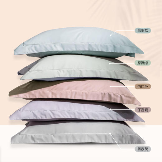 华纺100支纯棉抗菌四件套【山东必买好品】 商品图10