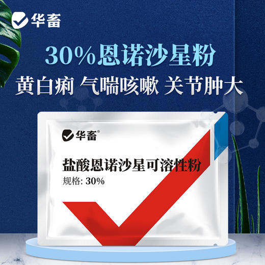 【社群专享】华畜兽药 30%盐酸恩诺沙星可溶性粉 气喘咳嗽 关节肿大 进口溶剂 吸收更好 细菌性疾病 支原体感染 商品图0