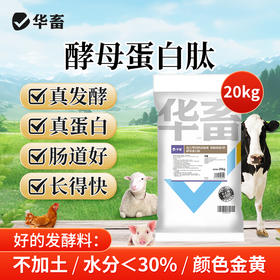 华畜酵母蛋白肽20kg提高饲料转化率