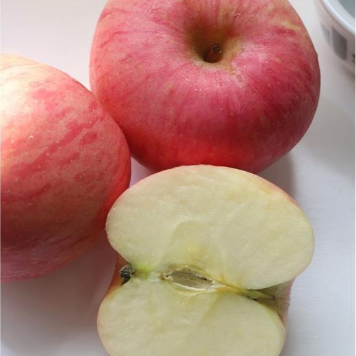 【自营】吉县高山苹果礼盒 昼夜温差酿好味 酸甜适口老少皆宜 商品图0