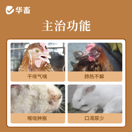 【积分兑换】华畜兽用0.3g麻杏石甘片猪用牛羊鸡鸭鹅药肺炎咳喘清肺止咳呼吸道 商品图1