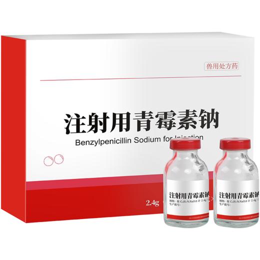 华畜兽药 400万注射用青霉素钠2.4g*20支 抗菌消炎 广谱药 商品图4
