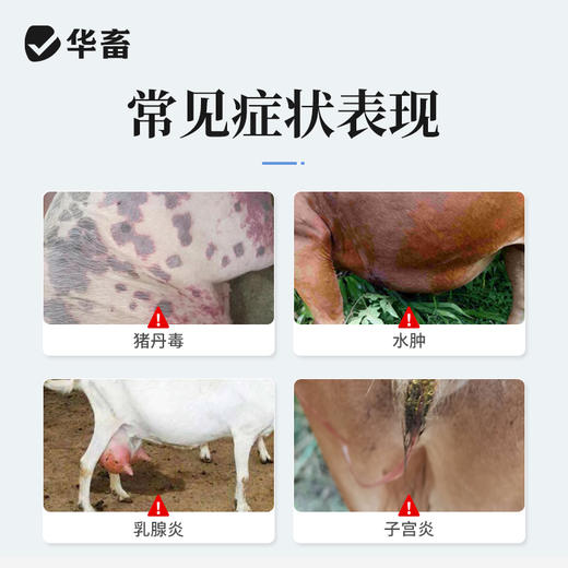 华畜兽药 400万注射用青霉素钠2.4g*20支 抗菌消炎 广谱药 商品图1