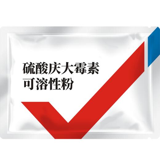 华畜5%硫酸庆大霉素可溶性粉 治疗肠炎拉稀 抗菌消炎 商品图5