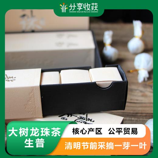 大树龙珠茶 生普 核心产区 | 公平贸易 | 基地直发 包邮 * Old Tree Dragon Ball Pu'Er Tea | Fair Trade 商品图0