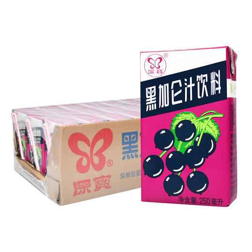 深宝 黑加仑汁 250mlx24 商品图3