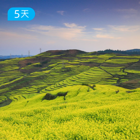 第一届 云南罗平花季户外节 春季爆款 | 昆明集散 5天4晚轻户外慢旅行  | 罗平油菜花 × 抚仙湖骑行 × 弥勒温泉