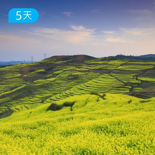 第一届 云南罗平花季户外节 春季爆款 | 昆明集散 5天4晚轻户外慢旅行  | 罗平油菜花 × 抚仙湖骑行 × 弥勒温泉 商品图0