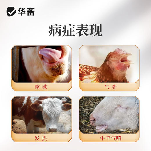 华畜麻杏石甘散1kg 肺炎咳喘 清肺止咳 禽畜通用呼吸道药 商品图1