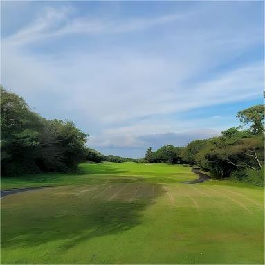 济州岛·乐园高尔夫俱乐部 Raon Golf Club | 济州岛高尔夫球场 | 韩国高尔夫球场俱乐部 商品图1