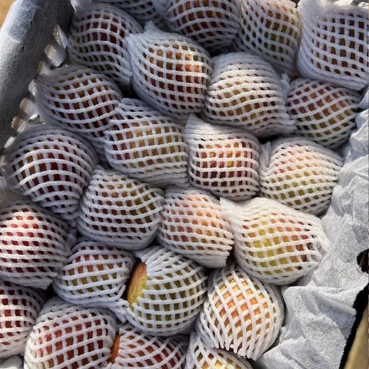 大凉山福布瑞斯苹果【净重约5斤】～我很丑，但是我有甜蜜的温柔~因为生态种植，所以表皮斑斑点点，但我是个有真正苹果味儿的苹果，洗完马上一股清甜的苹果香扑鼻而来，果皮薄，口感脆爽，香甜多汁。 商品图3