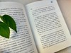 《程沈说诗词》礼盒钤印版（全4册），程沈说诗词，一代国人的诗词之梦， 商品缩略图5